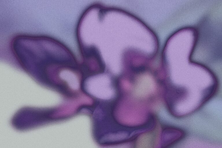 avenir-energetique-canada